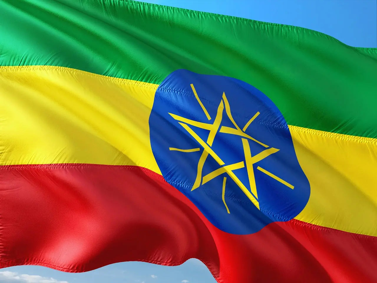 Ethiopia Sidamo Grade 2 — Green Coffee Beans, 60 kg CaAmo Coffee