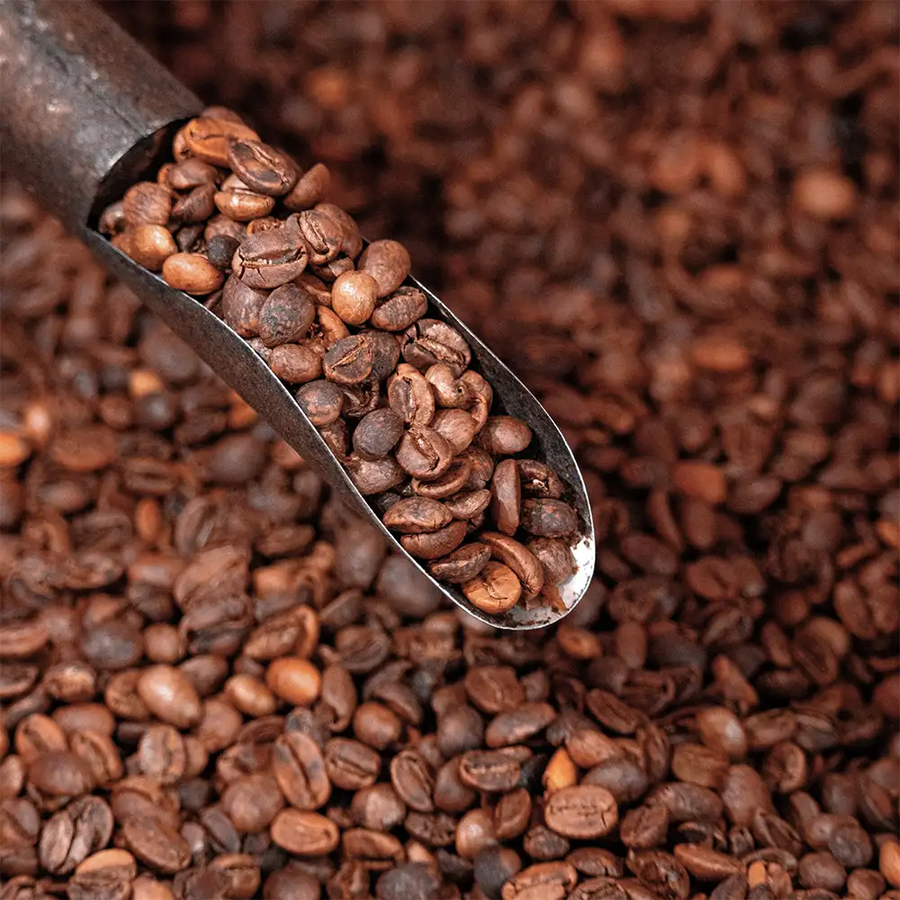 Roasted coffee beans in 1 kg bags, wholesale coffee supplier CaAmo Coffee