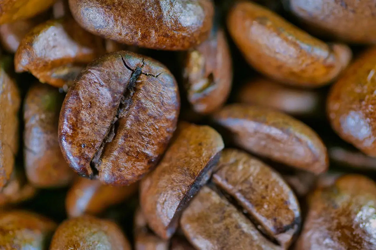 Roasted-Coffee-Beans CaAmo Coffee