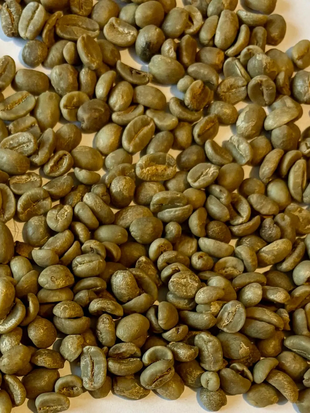 Green-Coffee-Beans CaAmo Coffee