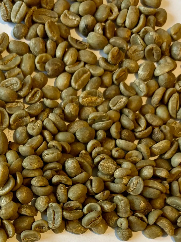 Green-Coffee-Beans CaAmo Coffee