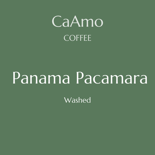 Panama Pacamara