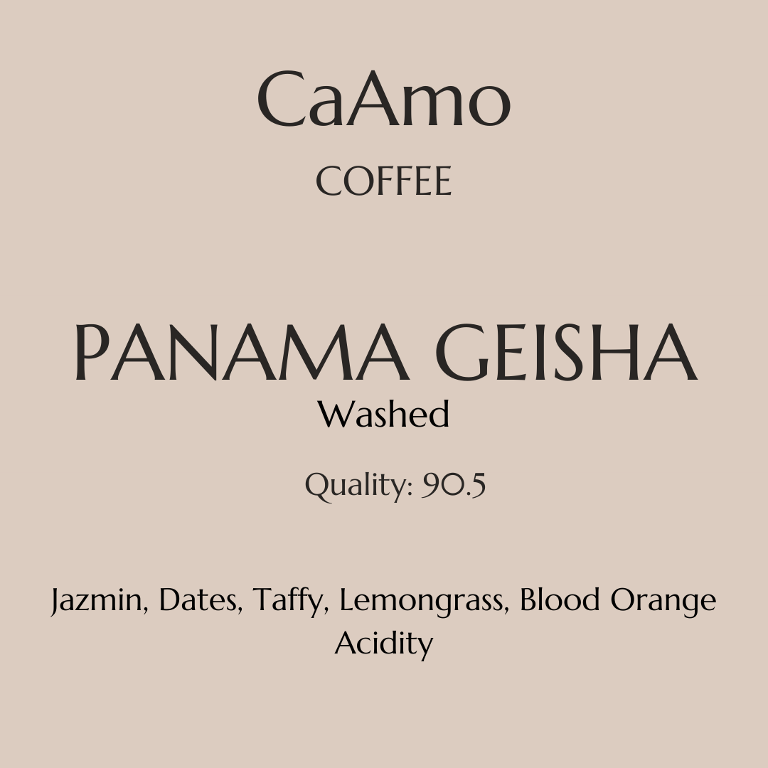 Panama Geisha Coffee Washed