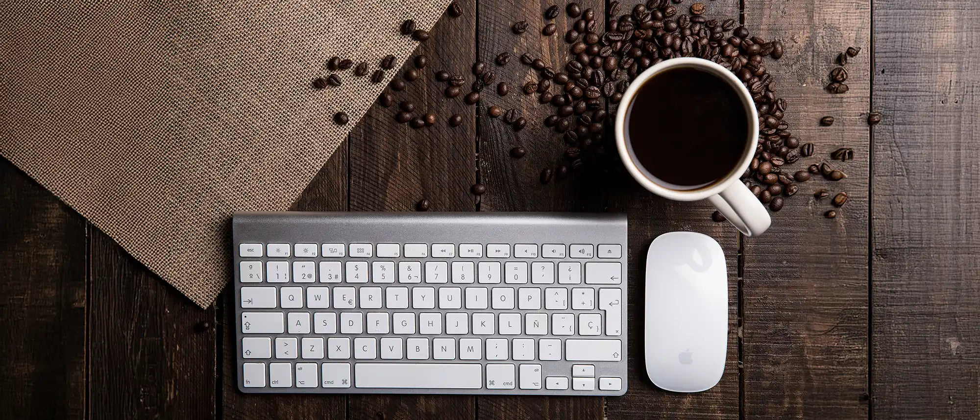 Office coffee supplier CaAmo Coffee, whole bean coffee for office machines