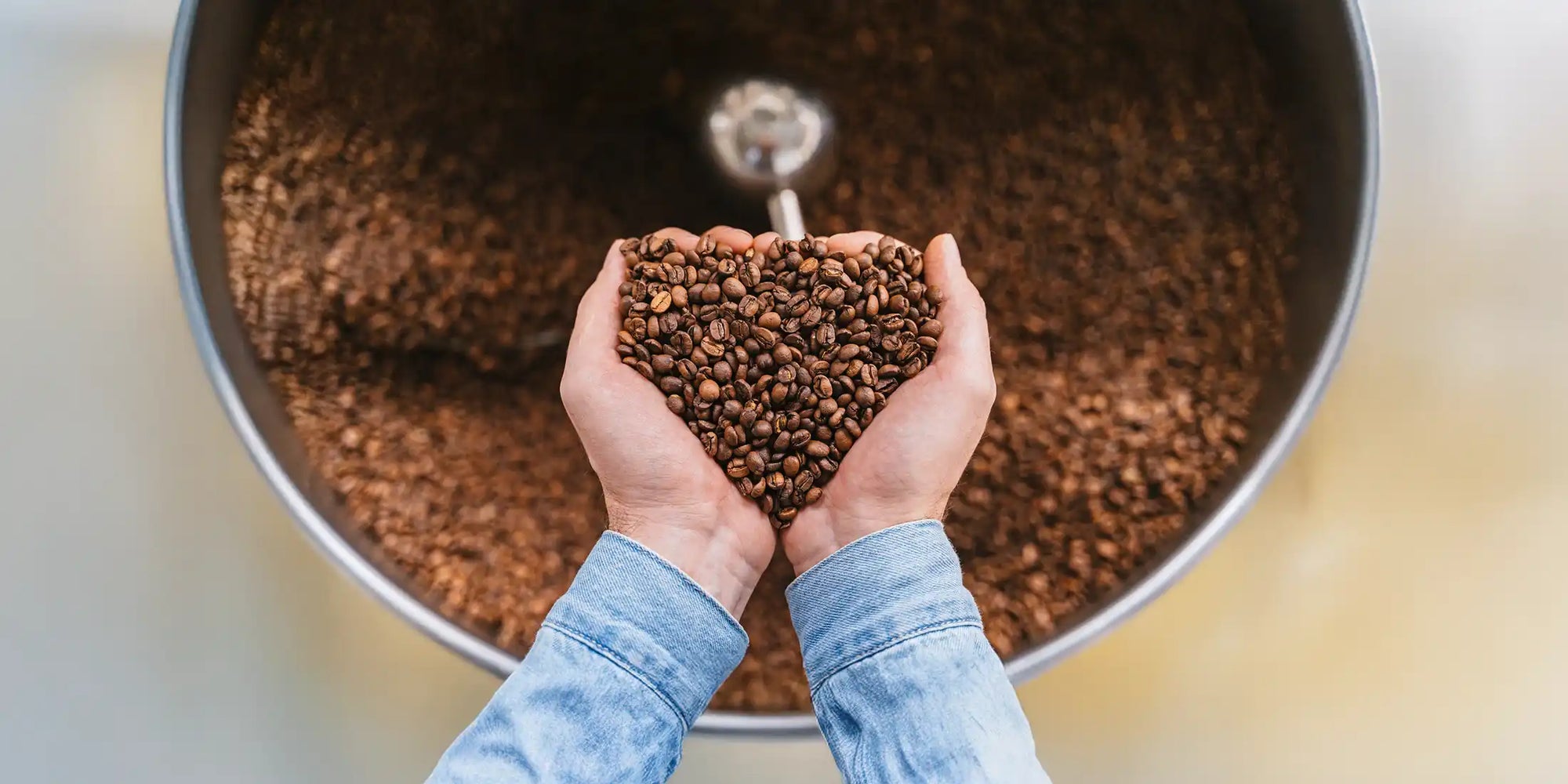 Roasted coffee beans held over a roasting drum, wholesale coffee supplier CaAmo Coffee